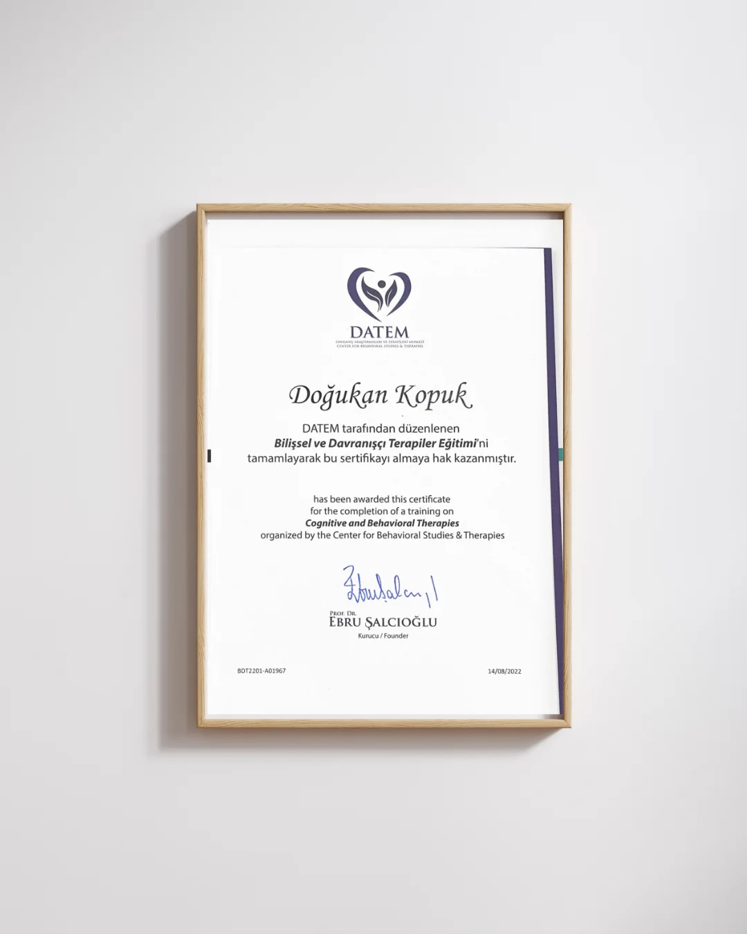 DATEM Bilişsel ve Davranışçı Terapiler eğitim sertifikası, Doğukan Kopuk
